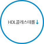 HDL콜레스테롤