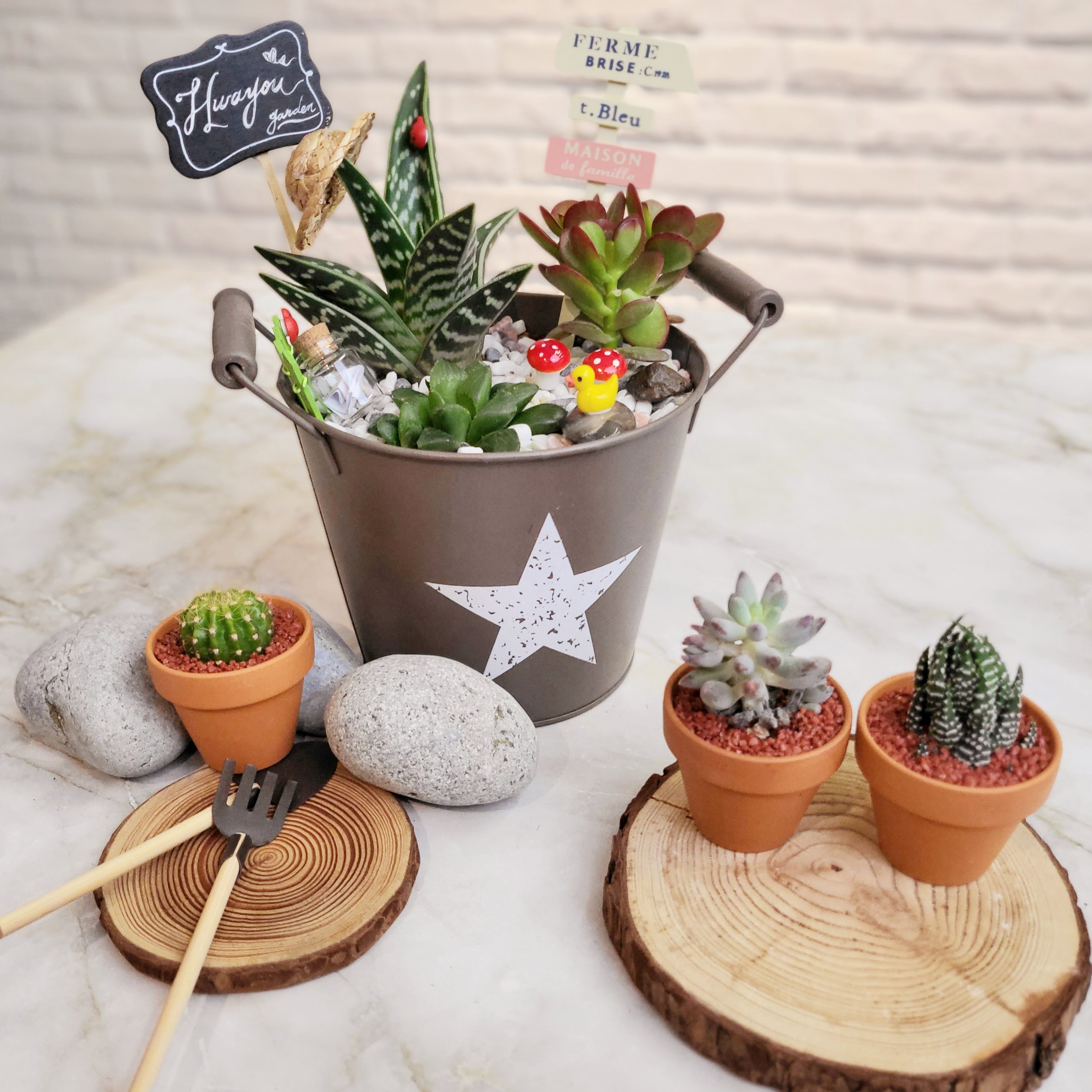 그림입니다.  원본 그림의 이름: 사본 -20211101_155040 (3).jpg  원본 그림의 크기: 가로 2726pixel, 세로 2725pixel  사진 찍은 날짜: 2021년 11월 01일 오후 5:40  카메라 제조 업체 : samsung  카메라 모델 : SM-F711N  프로그램 이름 : Windows Photo Editor 10.0.10011.16384  F-스톱 : 1.8  노출 시간 : 84/10000초  ISO 감도 : 160  색 대표 